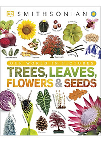 Trees, Leaves, Flowers And Seeds: A Visual Encyclopedia Of The Plant Kingdom