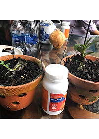 Phân bón hòa tan Israel Novacid 12-40-36+3CaO+Te, Hoà tan 100% sử dụng cho hệ thống tưới nhỏ giọt và tưới phun. Hạn chế rụng trái non, thúc hoa ra màu đẹp và tăng sức đề kháng cho cây trồng