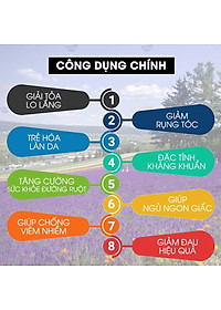 Tinh Dầu Oải Hương KOBI 30ml nguyên chất tặng kèm Vỏ lọ treo khuếch tán tinh dầu siêu tiện dụng