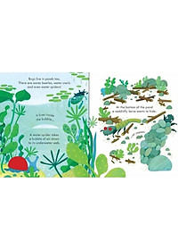 Peep Inside Bug Homes