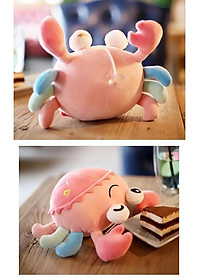 product-img-6