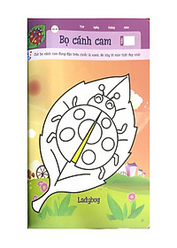 product-img-9