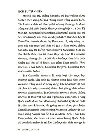 Sách Lịch Sử Của Trà