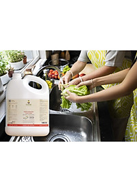 Nước ngâm rửa thực phẩm Fuwa3e làm sạch thực phẩm khử mùi thuốc sâu chất bẩn 3.8L