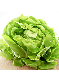Hạt giống Phú Nông xà lách búp thảo nguyên No.10 (2g/gói) | Lettuce Butterhead