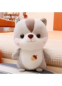 product-img-11
