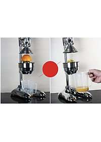 Máy Ép Cam Bằng Tay Inox