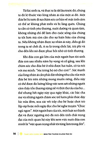product-img-16