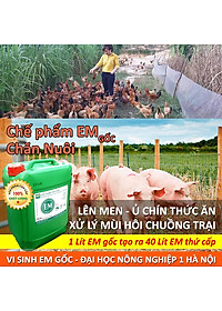 Chế phẩm sinh học EM gốc (EM1). Men vi sinh Đại Học Nông Nghiệp 1 Hà Nội. Chứa hàng tỷ bào tử hữu hiệu. Từ 1 lít EM gốc sản xuất ra 40 lít EM thứ cấp. Can 10 lít. HSD: 2 năm
