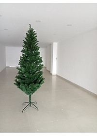 Cây thông noel màu xanh cao 2m - Cây cao cấp tán dày và rộng