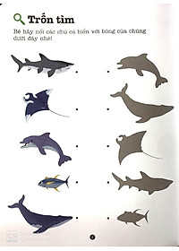 Sách Trò Chơi Phát Triển Trí Tuệ: Biển Khơi