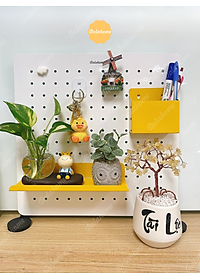 product-img-6