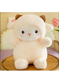 product-img-8