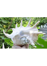 product-img-0