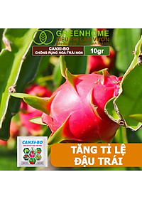 product-img-2