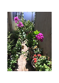 product-img-5