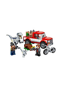 product-img-6
