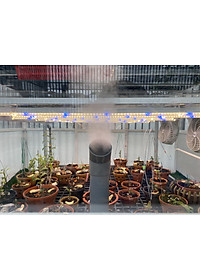 Đèn LED Trồng Cây, Đèn LED Trồng Rau Trong Nhà