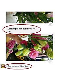 Dung Dịch Xử Lý Hoa TOG Galileo của ISRAEL (Chai 1 Lít) dùng bảo quản hoa cắt cành tươi lâu tại Nhà Vườn Trồng Hoa, Vựa Hoa và Chợ Sỉ Hoa. Tỷ lệ dung dịch 0.1% tức chai 1 Lít TOG pha được 1.000 Lít dung dịch xử lý hoa