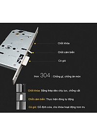 product-img-6
