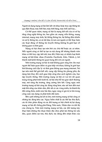 product-img-14