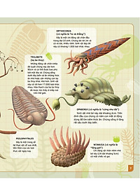 Sách thiếu nhi - Theo Dòng Thời Gian - Thời Tiền Sử (Bìa cứng)