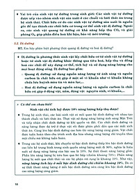 product-img-11