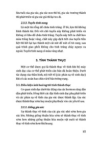 product-img-12