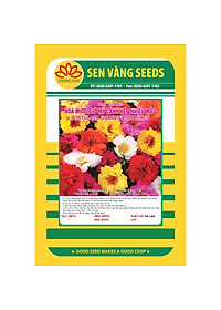 Hạt giống Hoa Mười Giờ Mỹ cánh kép nhiều màu VTS93