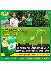Chế phẩm sinh học EM gốc (EM1). Men vi sinh Đại Học Nông Nghiệp 1 Hà Nội. Chứa hàng tỷ bào tử hữu hiệu. Từ 1 lít EM gốc sản xuất ra 40 lít EM thứ cấp. Can 10 lít. HSD: 2 năm