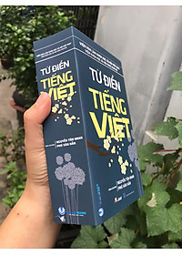 Từ Điển Tiếng Việt (Tái Bản) (Khổ nhỏ)