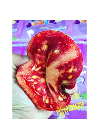 product-img-8
