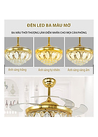 product-img-4