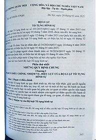 Bộ Luật Hình sự  - Bộ Luật Tố Tụng Hình Sự ( Sửa đổi, bổ sung năm 2025 )