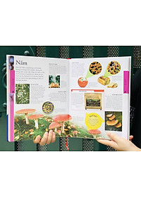 Sách Bách Khoa Toàn Thư Khoa Học - Khoa học Kỹ thuật