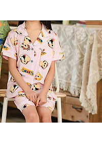 Bộ Pijama cộc tay hình sóc xuất Hàn  bé gái 2-14 tuổi