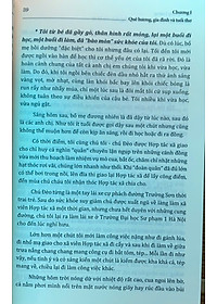 product-img-36