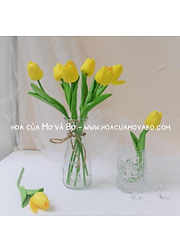 Bình Lọ Thủy Tinh Eo Nhỏ Merber