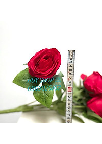 product-img-8