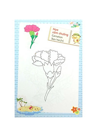product-img-4