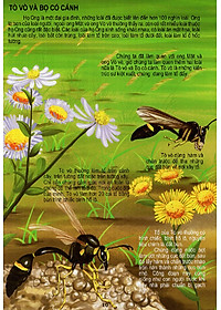 Sách Thế Giới Động Vật Kì Thú - Vườn Côn Trùng