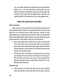 product-img-10
