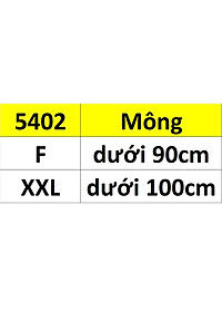 Combo 5 quần lót nữ voan phối ren Beautiful Spring 5402 – Mỏng nhẹ, thoáng mát