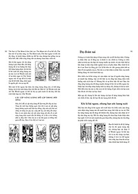 Học Tarot Cho Người Mới