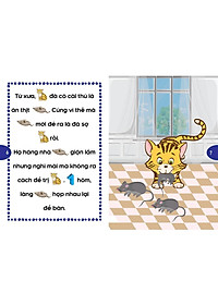 product-img-6