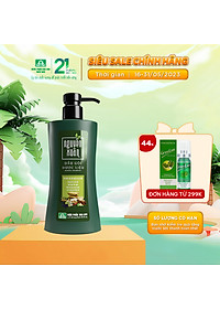 Dầu Gội Dược Liệu Nguyên Xuân Xanh 350ml – Dưỡng Tóc (Khuyến mại thêm 35ml giá không đổi)