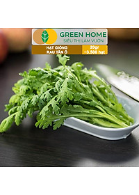 product-img-6
