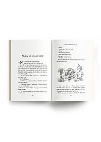 product-img-8