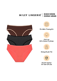 Combo 3 Quần Lót Cotton Lụa Plus Size Miley Lingerie Nature Wind FCP_11