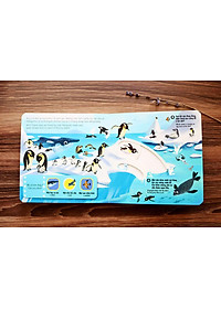 Sách Tương Tác - Sách Chuyển Động - First Explorers - Sea Creatures - Sinh Vật Biển